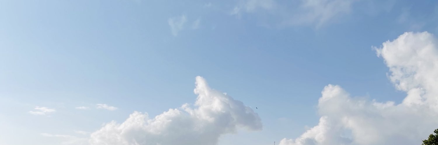 _fss40's profile banner image