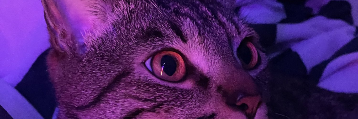 sarah 𓂀's banner