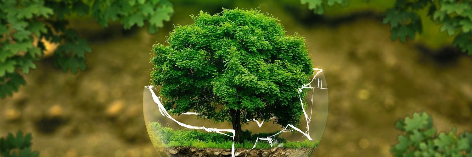 The_NextNetwork's profile banner image
