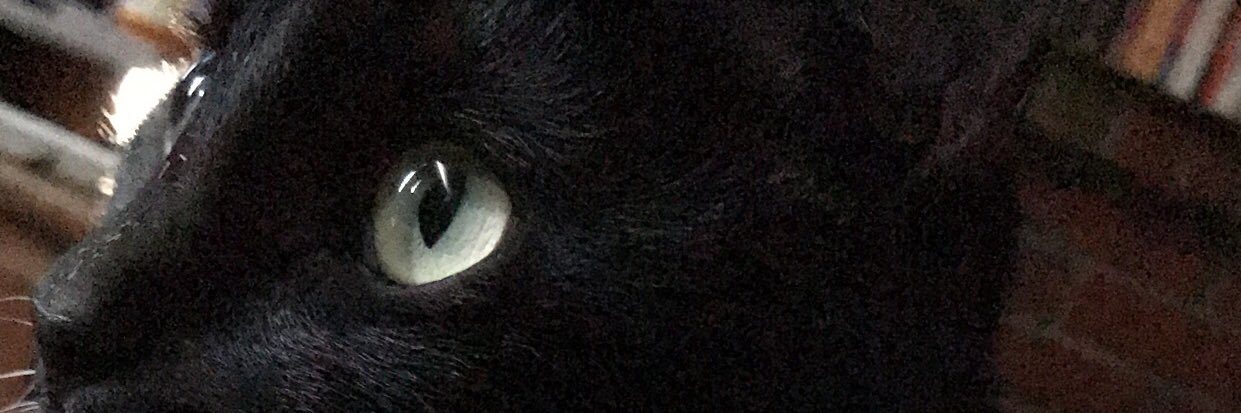 Pdahh_'s profile banner image