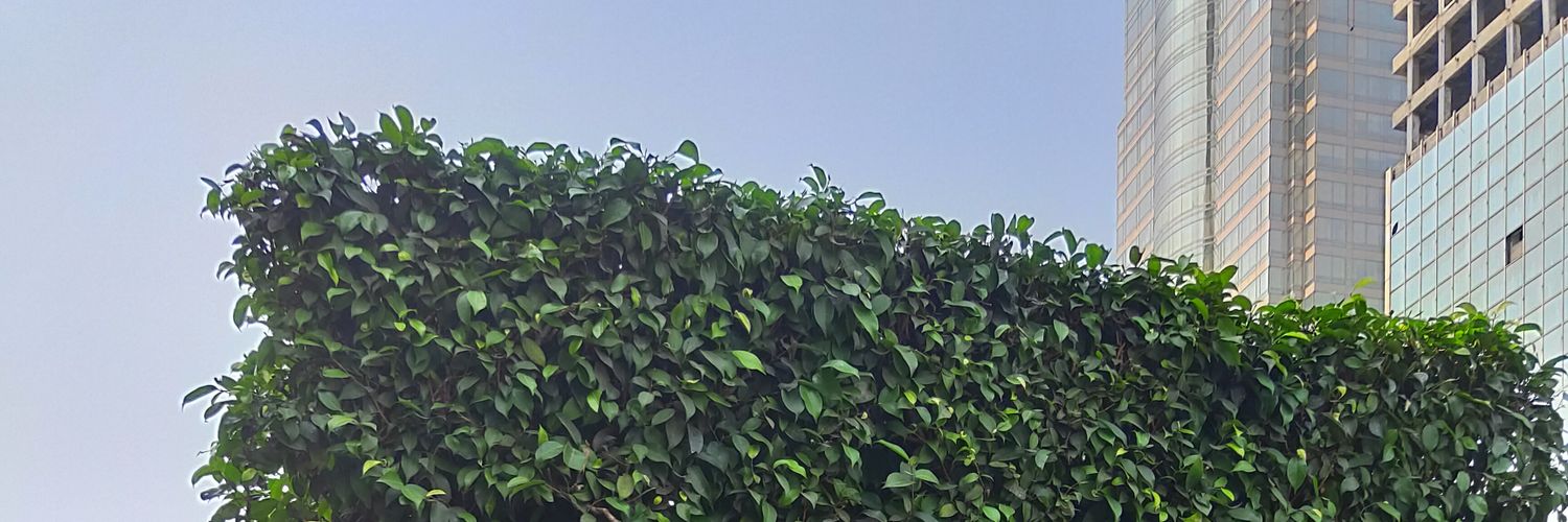 FvllOfShit's profile banner image