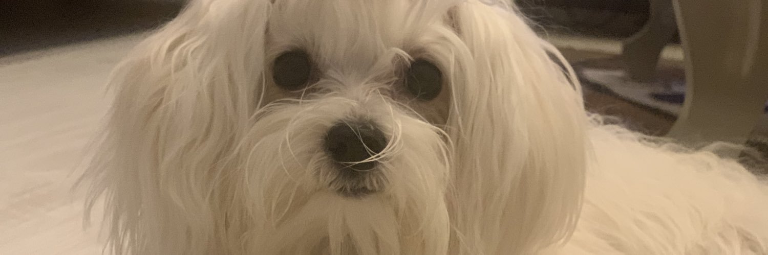 Odemminge's profile banner image