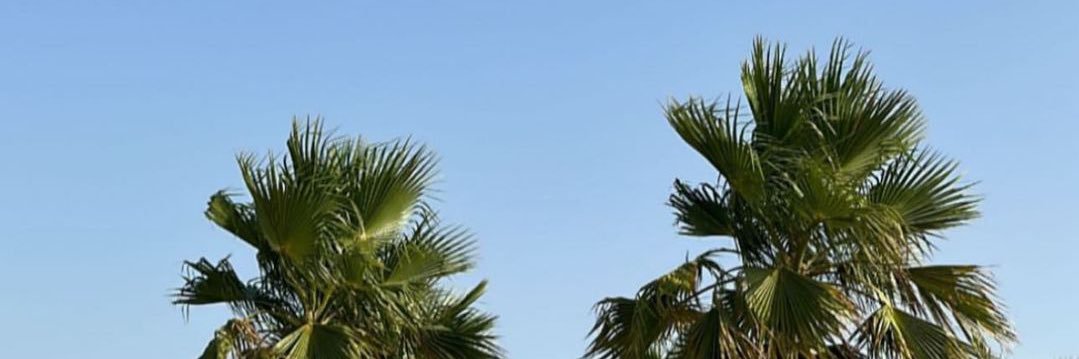 muhammad6m6's profile banner image