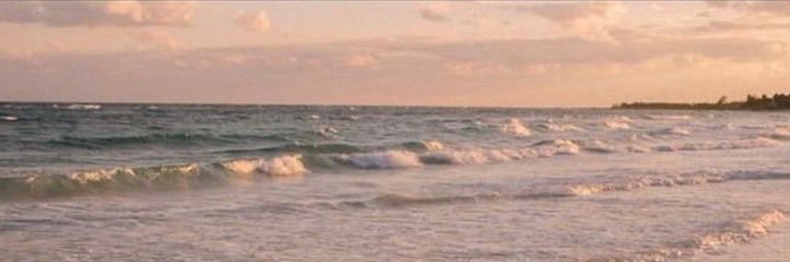 MarinaChecon's profile banner image