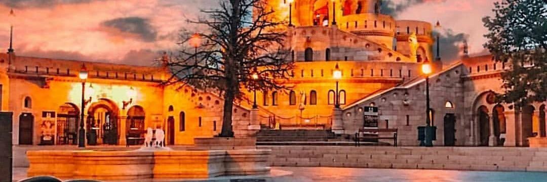 重本冲🐟 banner