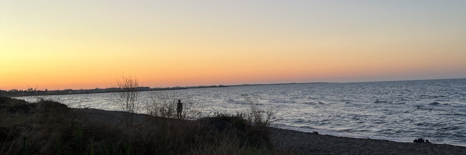 semaanrtas's profile banner image