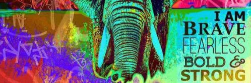 JrealityMusic's profile banner image