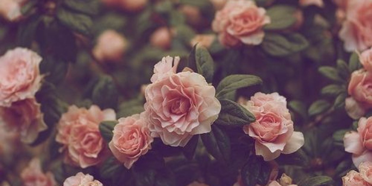 smallfry944's profile banner image