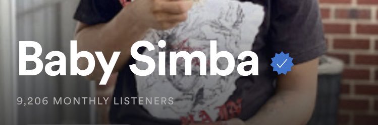 Simba⭐️ banner