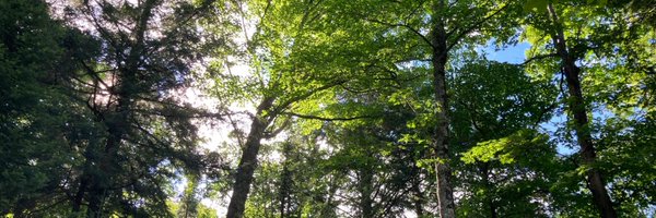 Stephanie_Slat Profile Banner