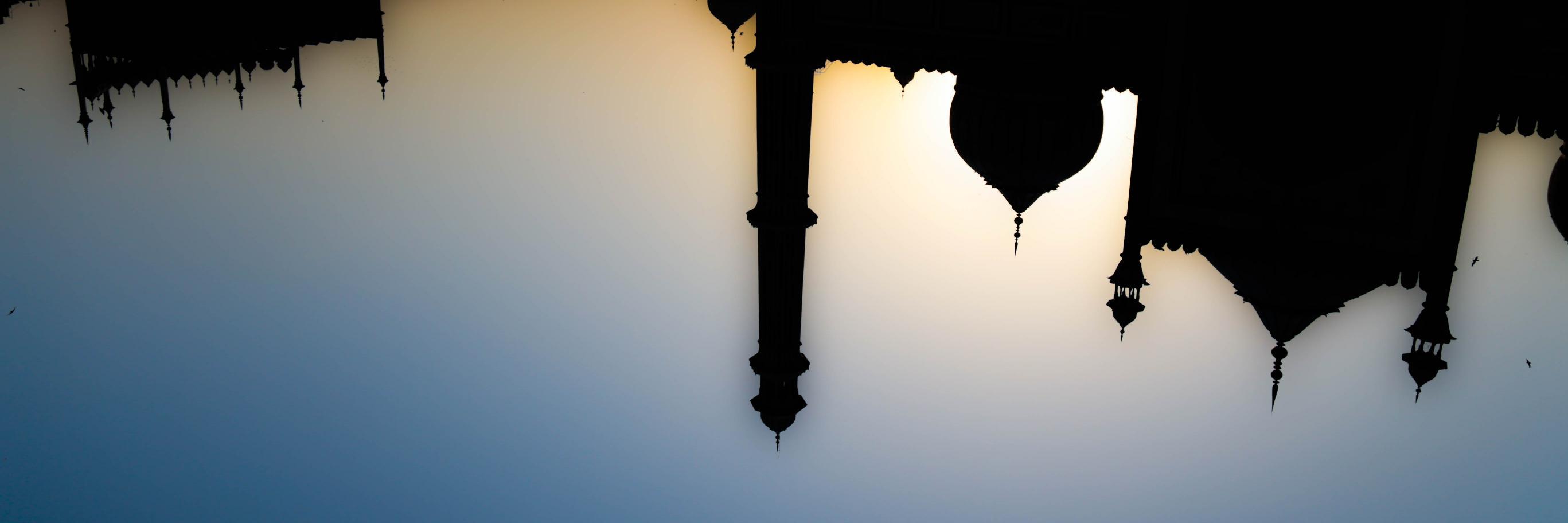 CuriosityBug's profile banner image