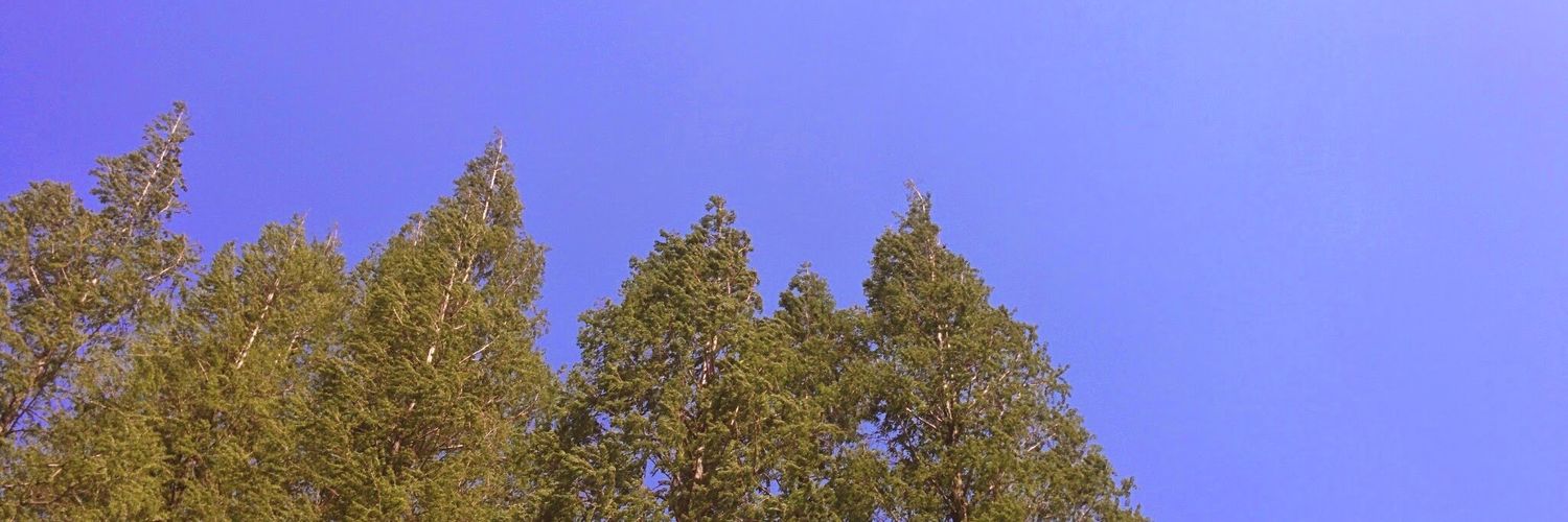 kitakuni_pub's profile banner image