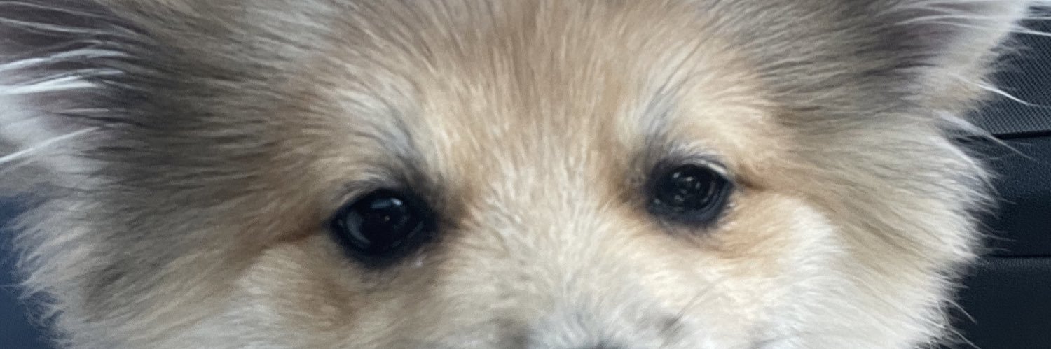 Yams (👻,👻) banner