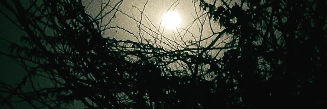 Arfa2512's profile banner image
