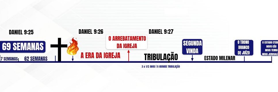 A M A N D A - SDV 🇧🇷 banner