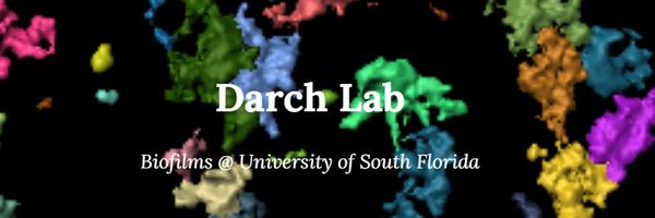 AlexaGannon Profile Banner