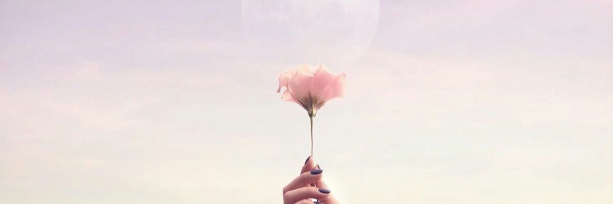 marrielleeee's profile banner image