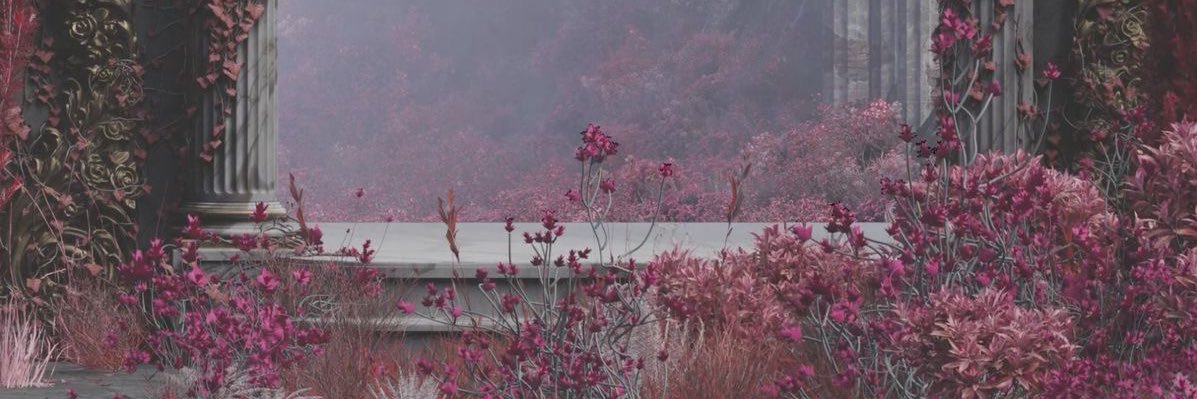 quaiiixo's profile banner image