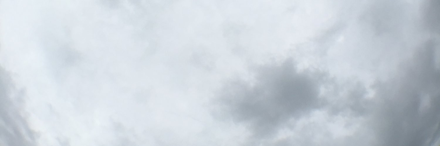 OfficialMiniAsh's profile banner image