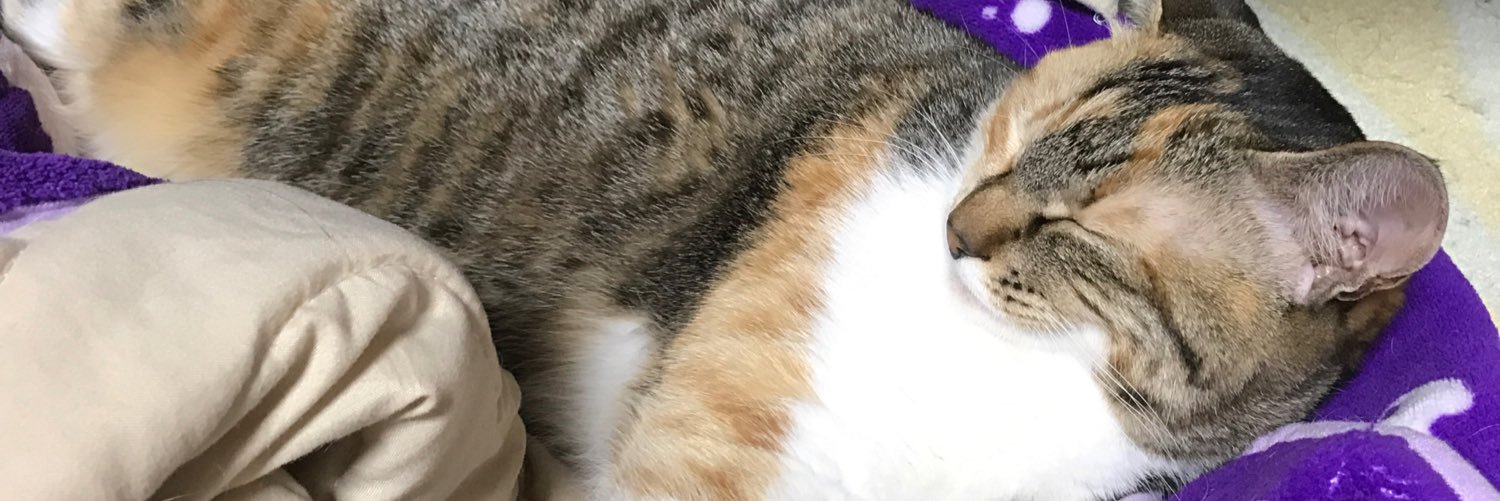 MilkFunao's profile banner image