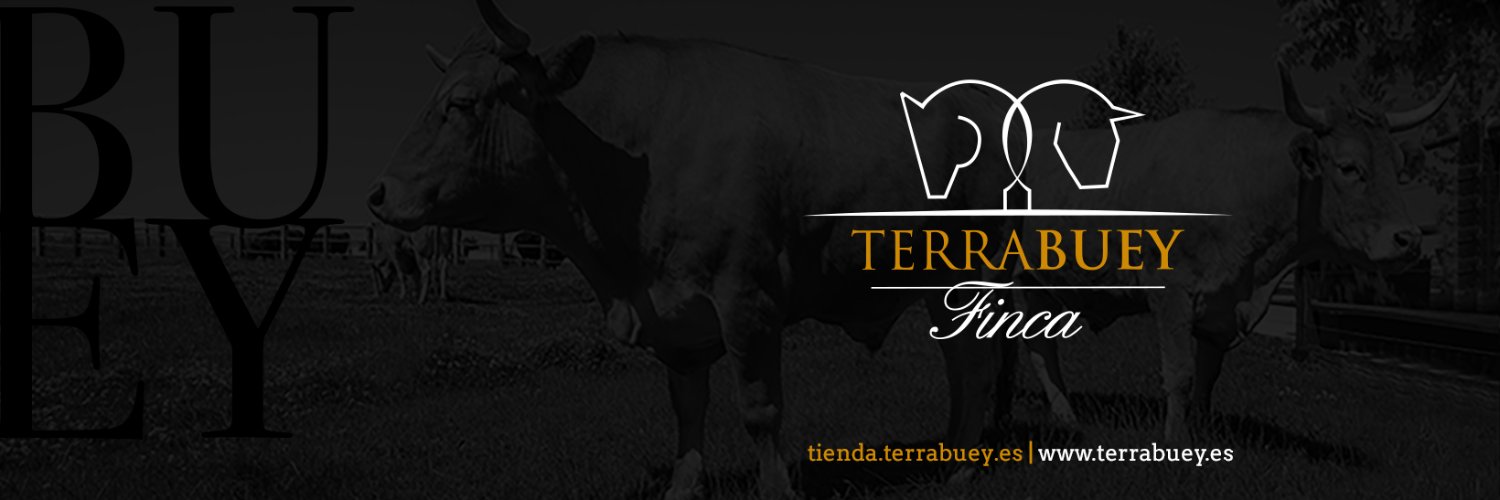 terrabuey's profile banner image