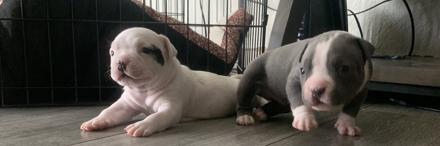 joshua aguinaga banner