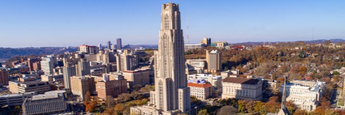 Therese Pitman banner