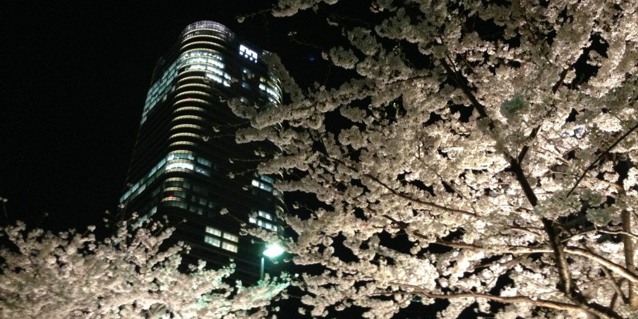 IT_eru's profile banner image