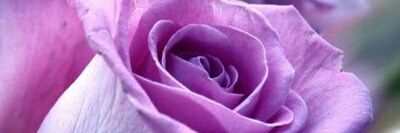 Elungat David 🇺🇬 banner