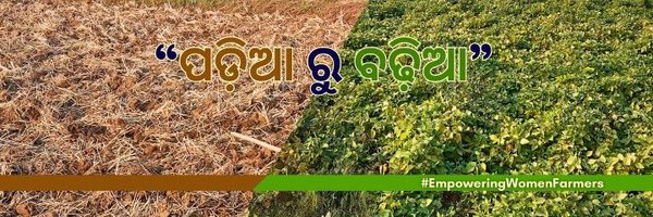 BikashMancha Profile Banner
