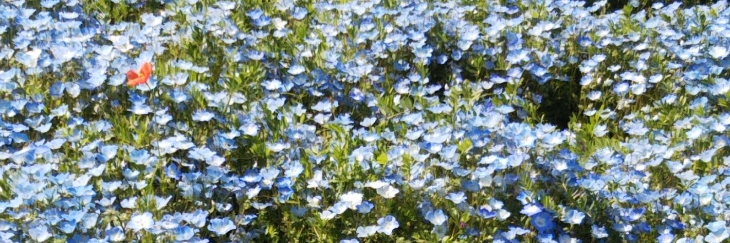 66pg's profile banner image