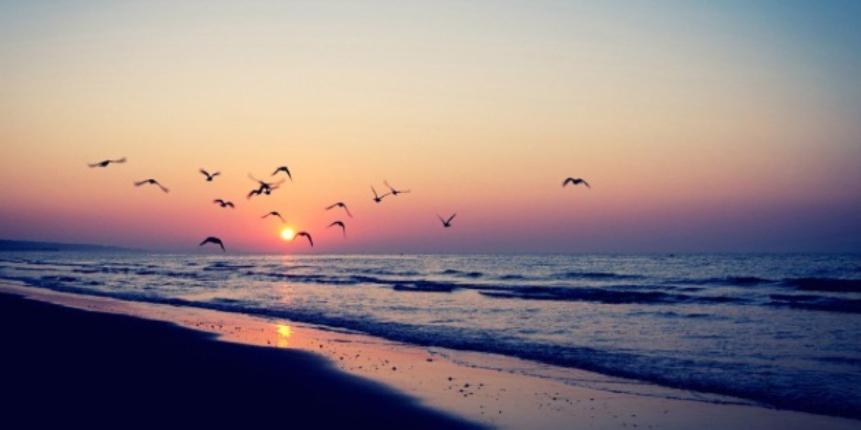 cin_dayy's profile banner image