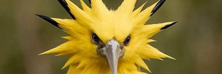 DaftCyberpunker's profile banner image