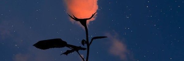 mong9mongle Profile Banner