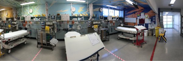 PEMDocSyd Profile Banner