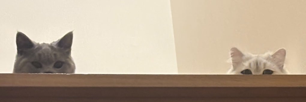 ikd_ask_'s profile banner image