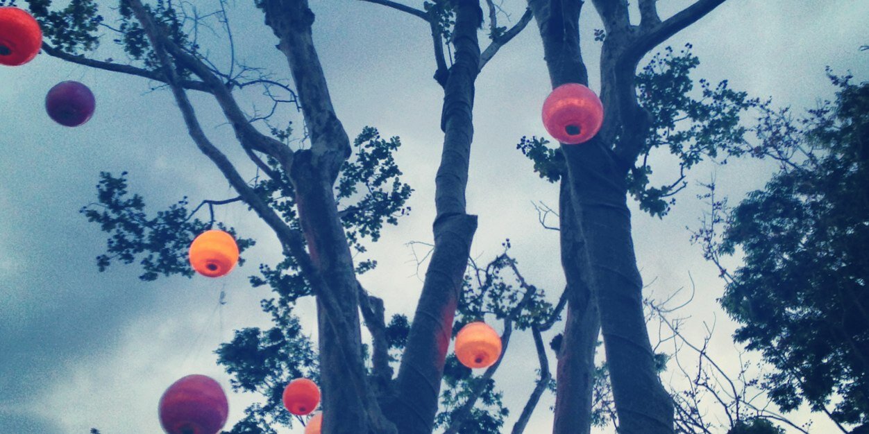 fungi424's profile banner image