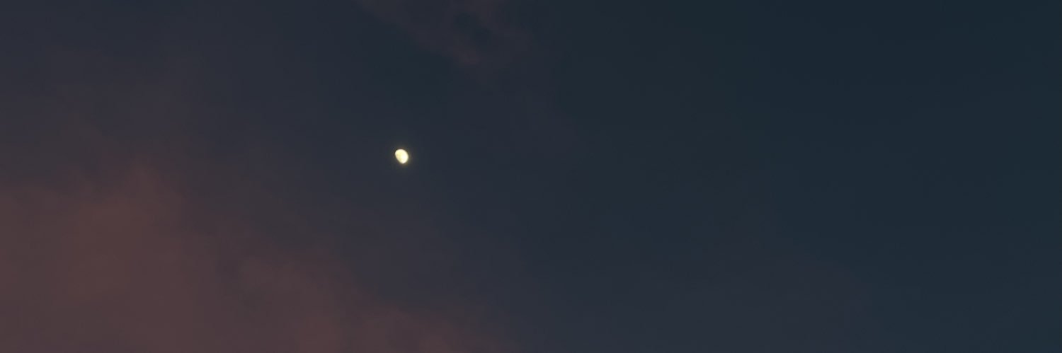 kaurteer's profile banner image