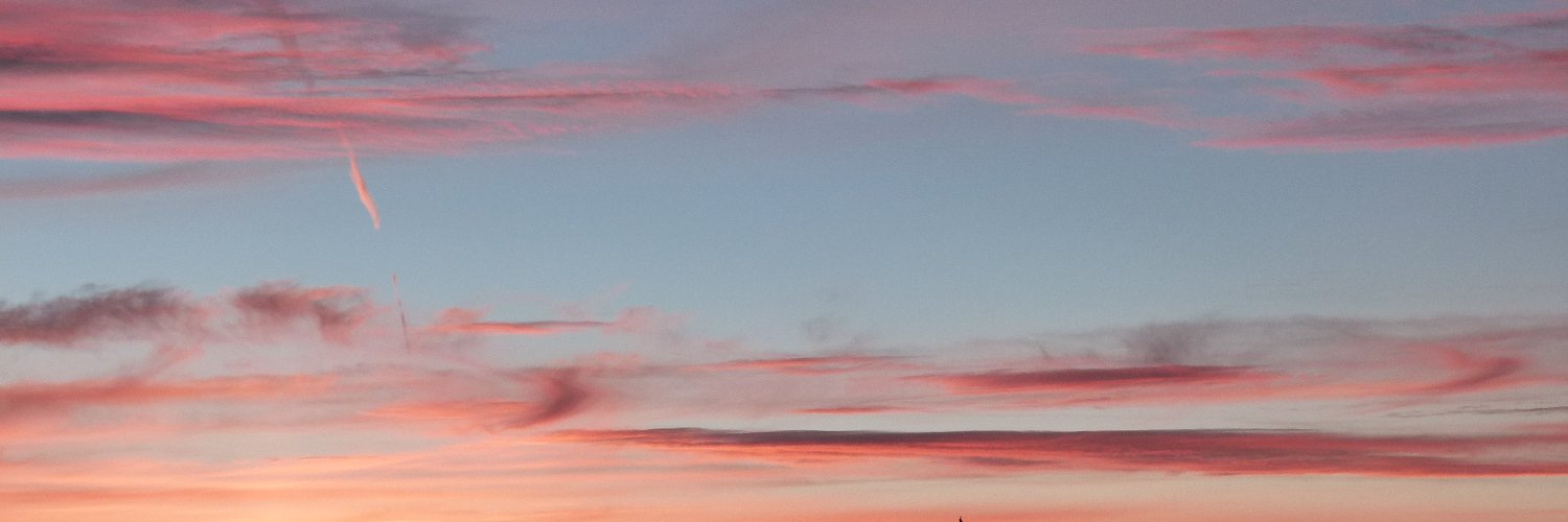 Catherine PFAFF, PhD (she/her)'s banner