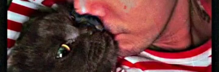 Katzenfrau ≽^- ˕ -^≼ banner