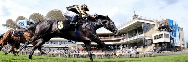 mooresthepity Profile Banner