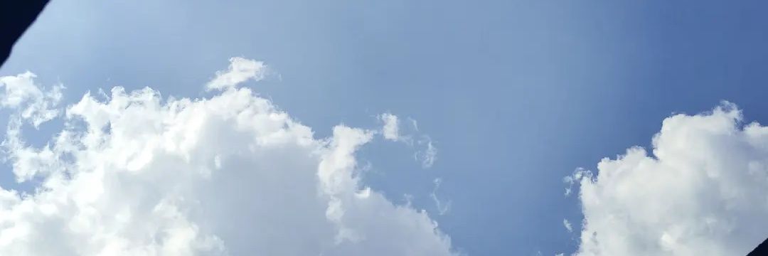 Ela banner