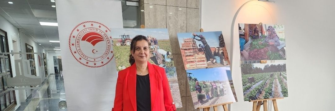 NazanTurkarslan's profile banner image