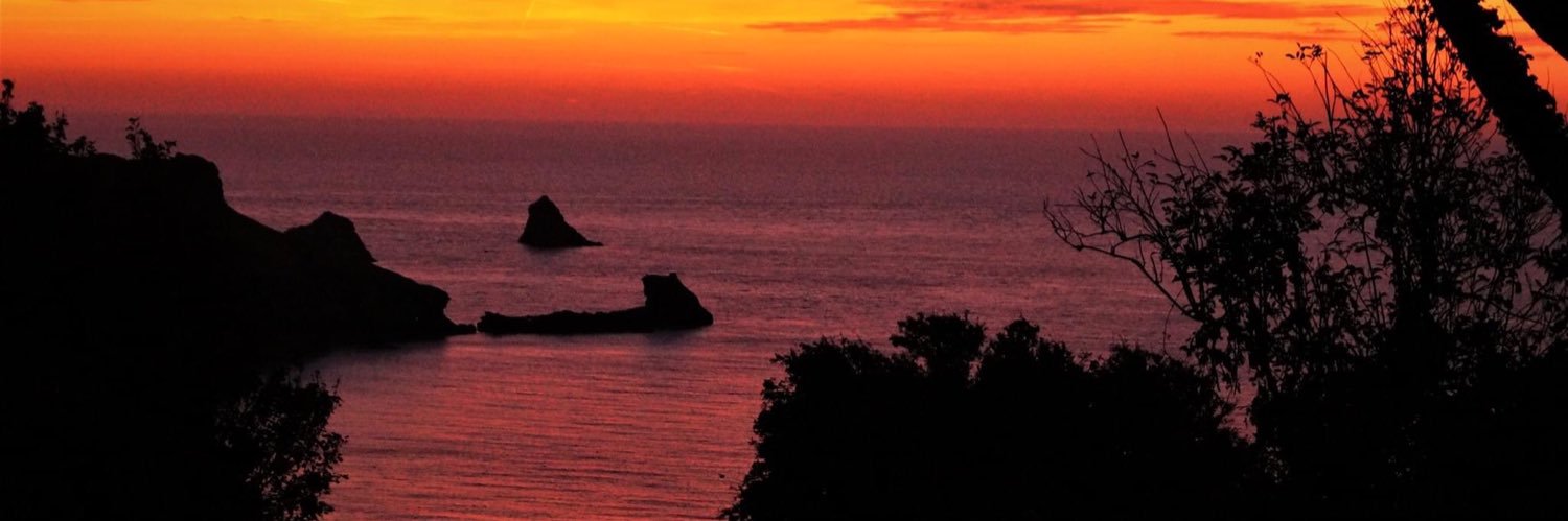 Georgia Giovanna Allanson banner