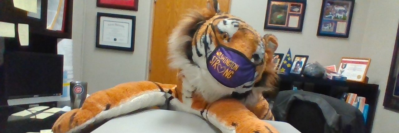 Washington Wildcat banner