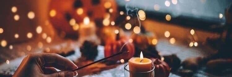 allie 🌿 banner