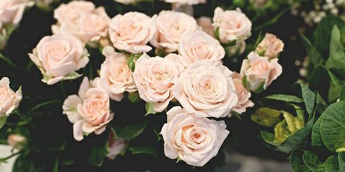 adindasekarayu's profile banner image