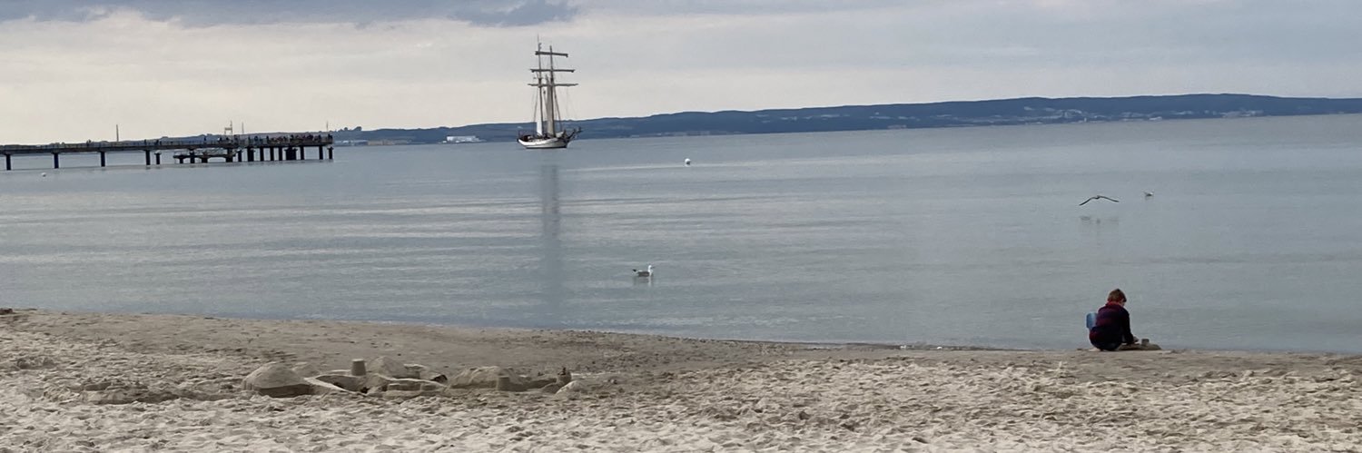 Detlef Pollack banner