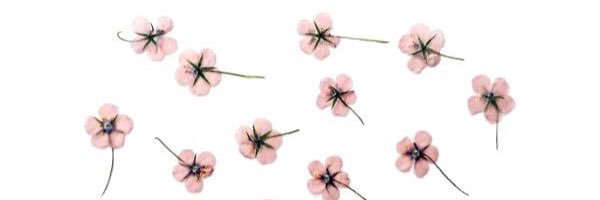 cjam__'s profile banner image