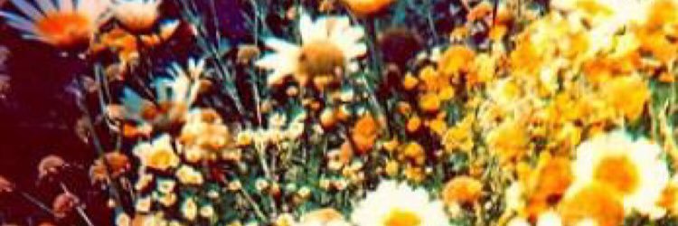 SunsplitOne's profile banner image
